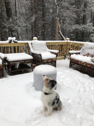 a view of a house with a porch