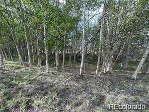 1599 Campfire Road Hartsel, CO 80449 - Photo 11 of 39 Gallery Image 11