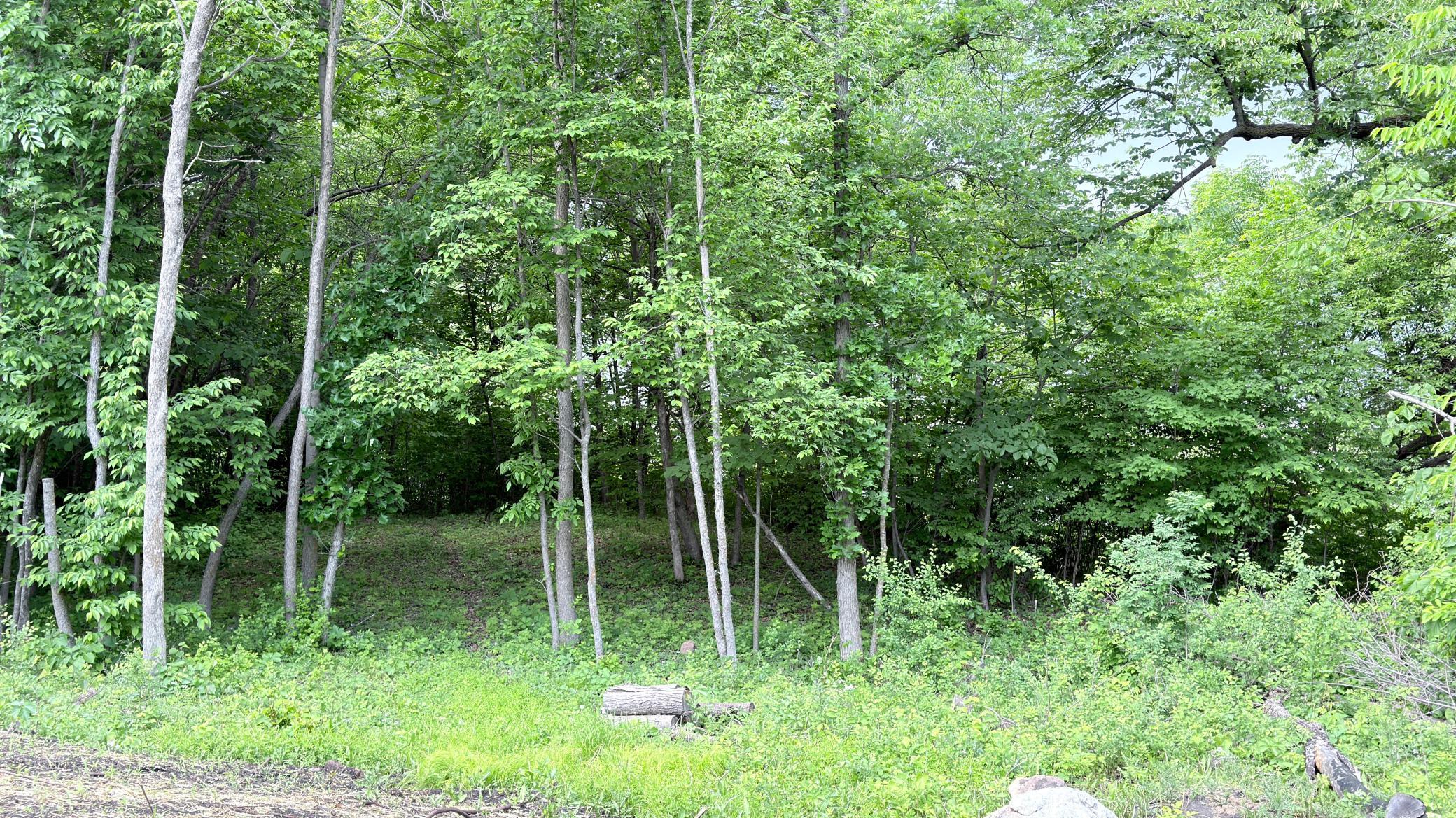 Lot 11 West Stalker Road Dalton, MN 56324 - Photo 9 of 27