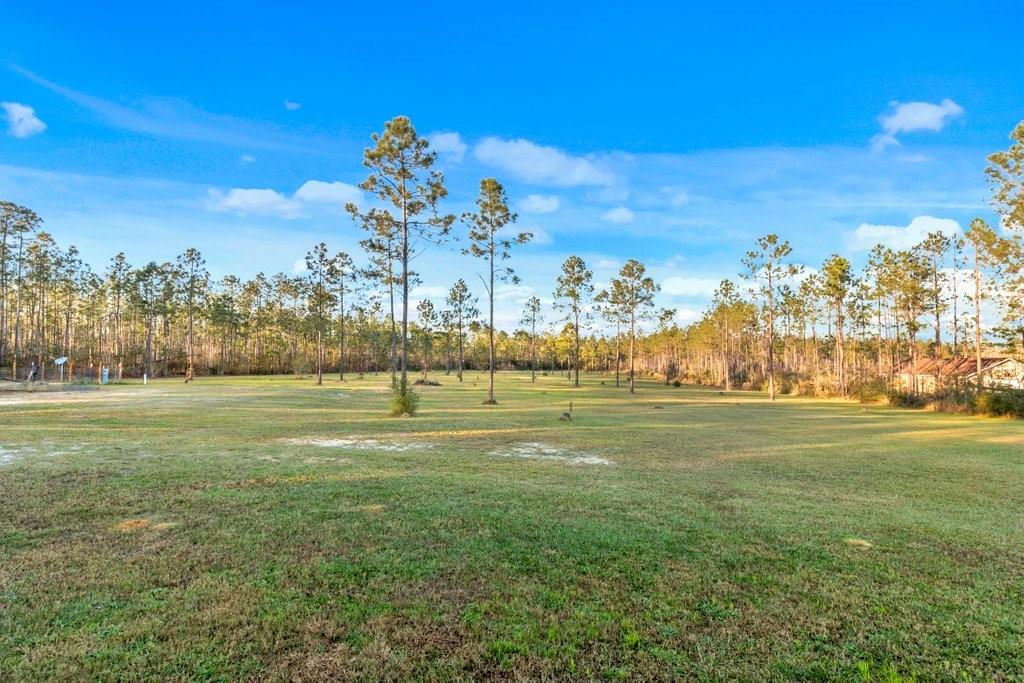 2896 Camp Edgewood Road Dequincy, LA 70633 - Photo 25 of 27 Gallery Image 25