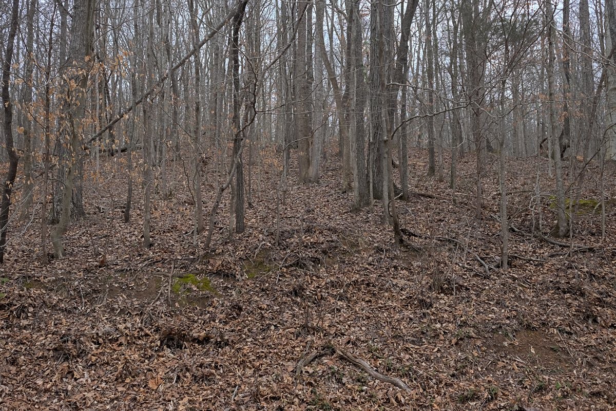 0 Panhandle Road Wartrace, TN 37183 - Photo 2 of 3 a view of a yard with a wooden fence