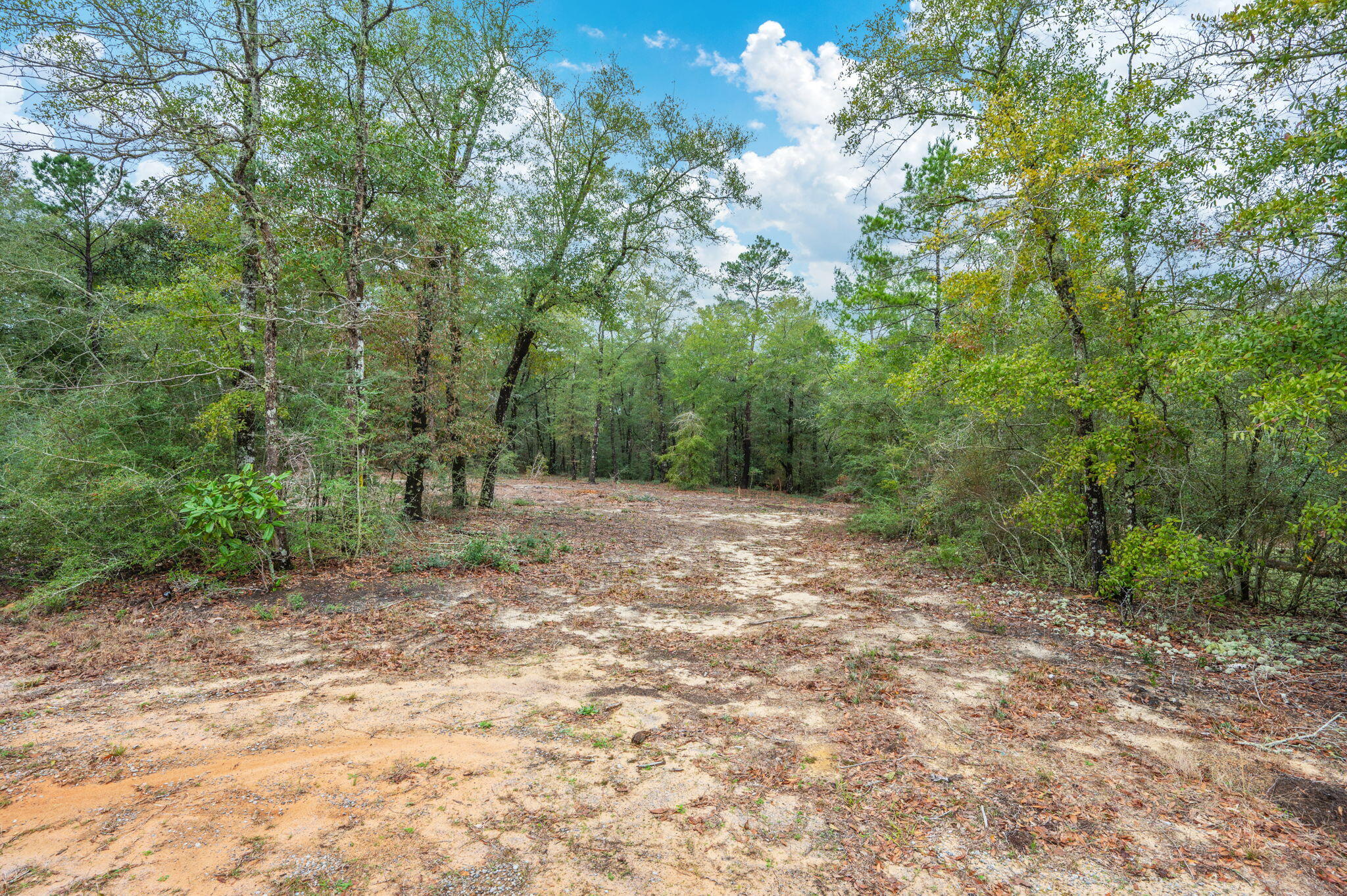 4.69 Acres Jv Woolley Road Crestview, FL 32539 - Photo 4 of 13 11-web-or-mls-jv-woolley-rd