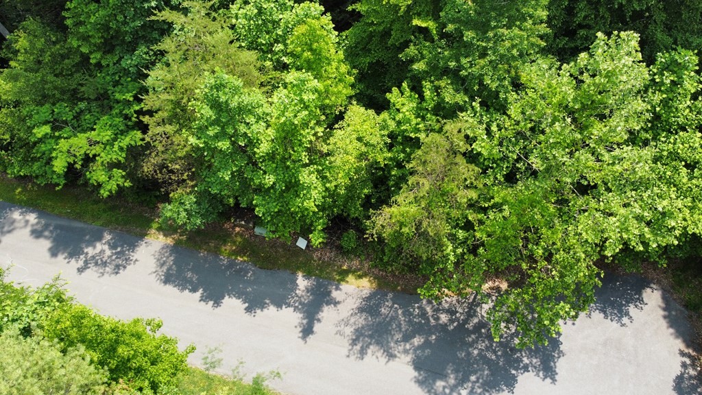 49 Piney Ridge Way Sevierville, TN 37862 - Photo 4 of 8