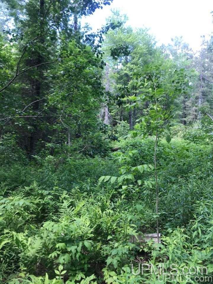 Tbd Floodwood Road Republic, MI 49879 - Photo 2 of 7