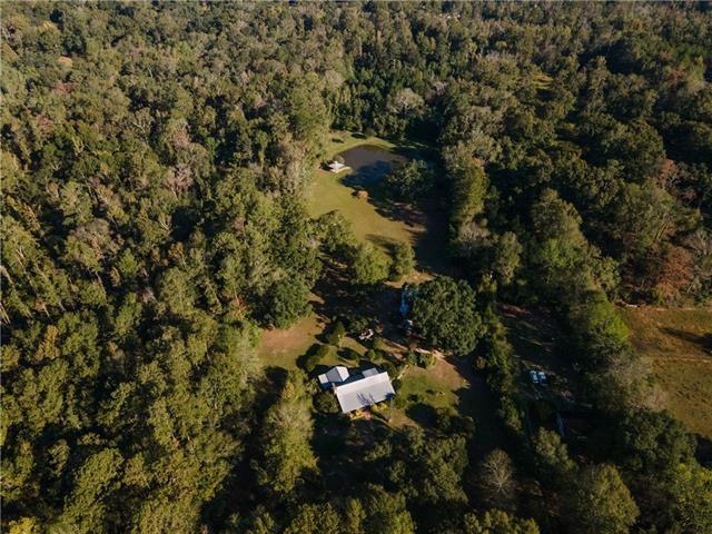 11205 Lee Settlement Road Folsom, LA 70437 - Photo 46 of 49