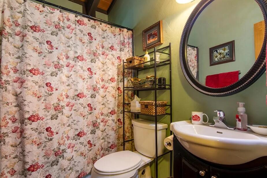 52845 Pine Cove Road Idyllwild, CA 92549 - Photo 11 of 15 a bathroom with a sink toilet and mirror