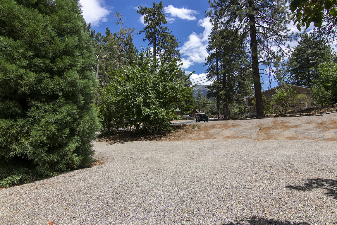 52845 Pine Cove Road Idyllwild, CA 92549 - Photo 14 of 15 a view of a backyard of a house