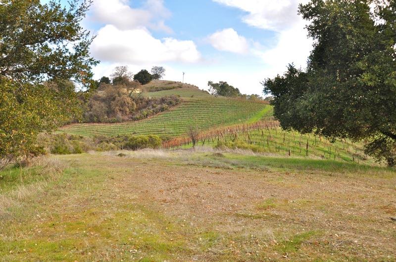 0 Mt Eden Road Saratoga, CA 95070 - Photo 1 of 27