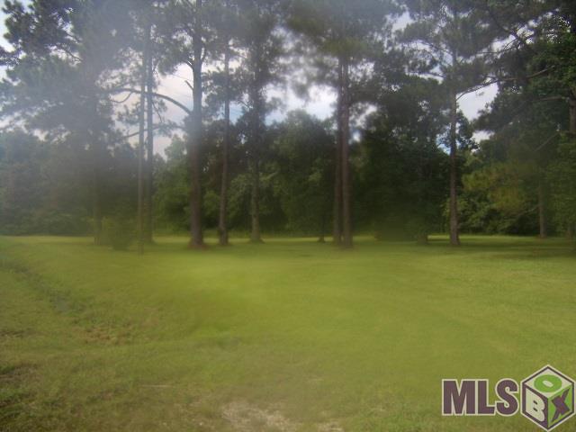 15587 Hubbs Road Pride, LA 70770 - Photo 4 of 9
