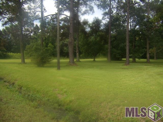15587 Hubbs Road Pride, LA 70770 - Photo 5 of 9