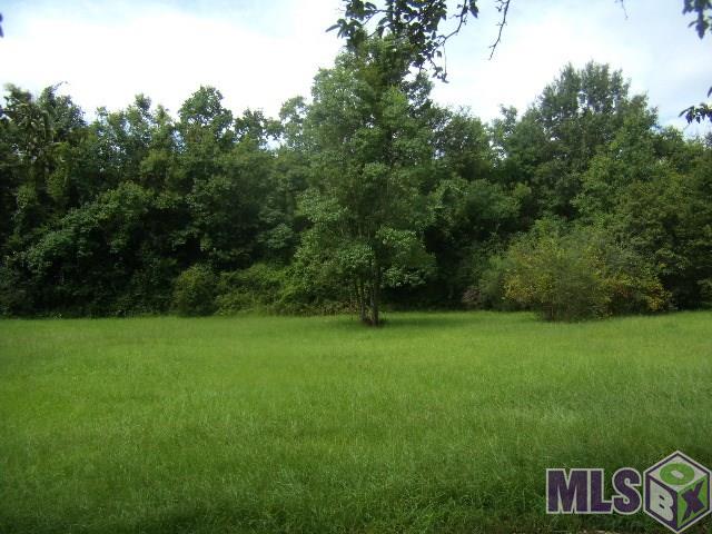 15587 Hubbs Road Pride, LA 70770 - Photo 7 of 9
