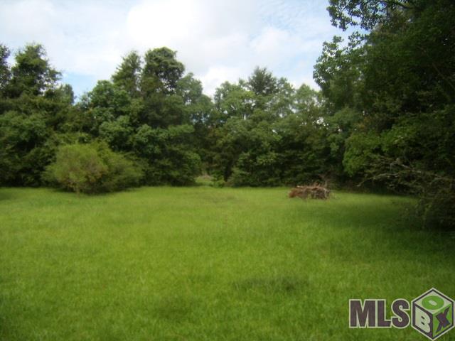 15587 Hubbs Road Pride, LA 70770 - Photo 9 of 9