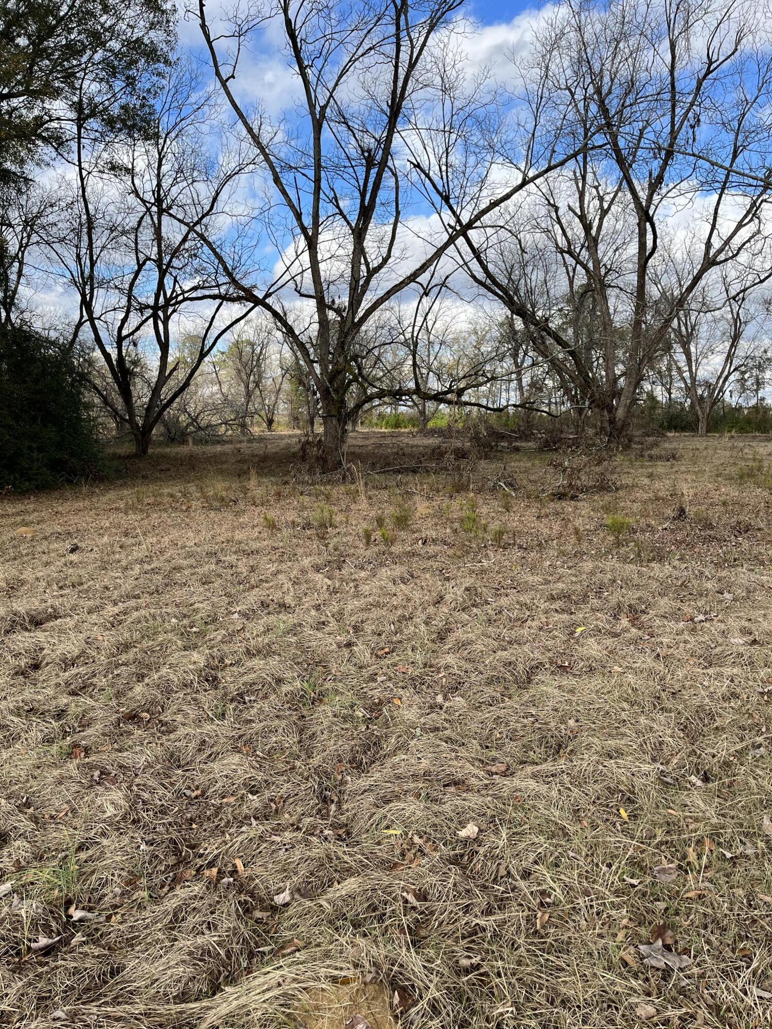 2565 St Matthews Road Northeast Orangeburg, SC 29118 - Photo 38 of 60 IMG_5217