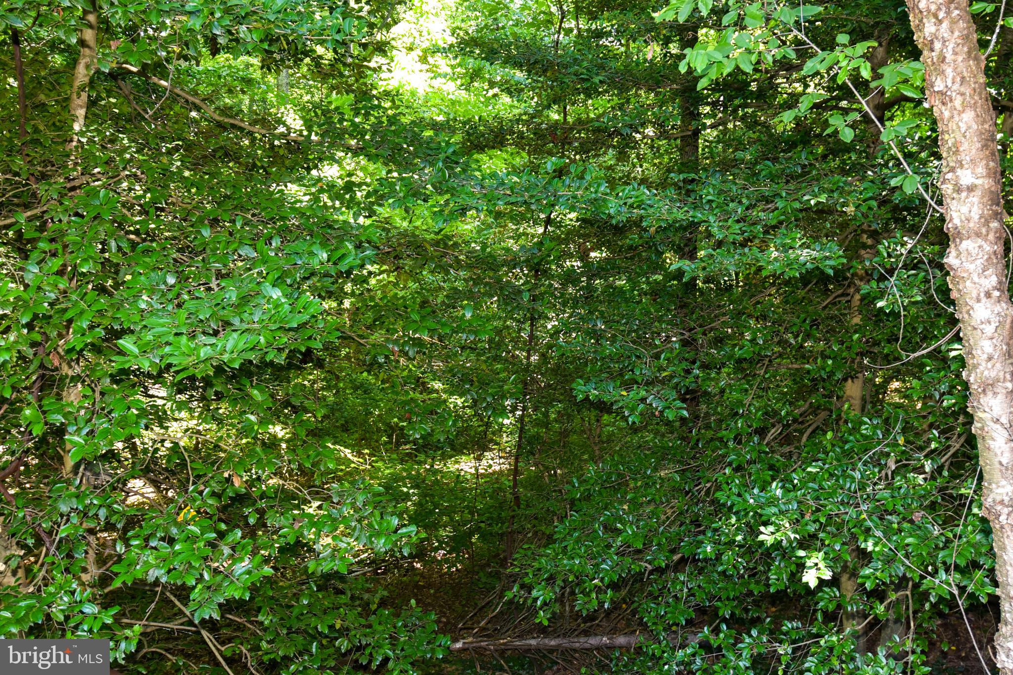 9814 Natick Road Burke, VA 22015 - Photo 31 of 64