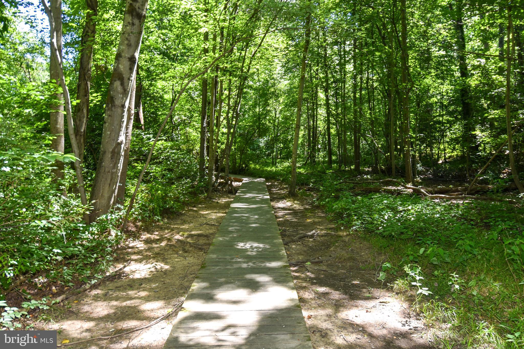 9814 Natick Road Burke, VA 22015 - Photo 60 of 64