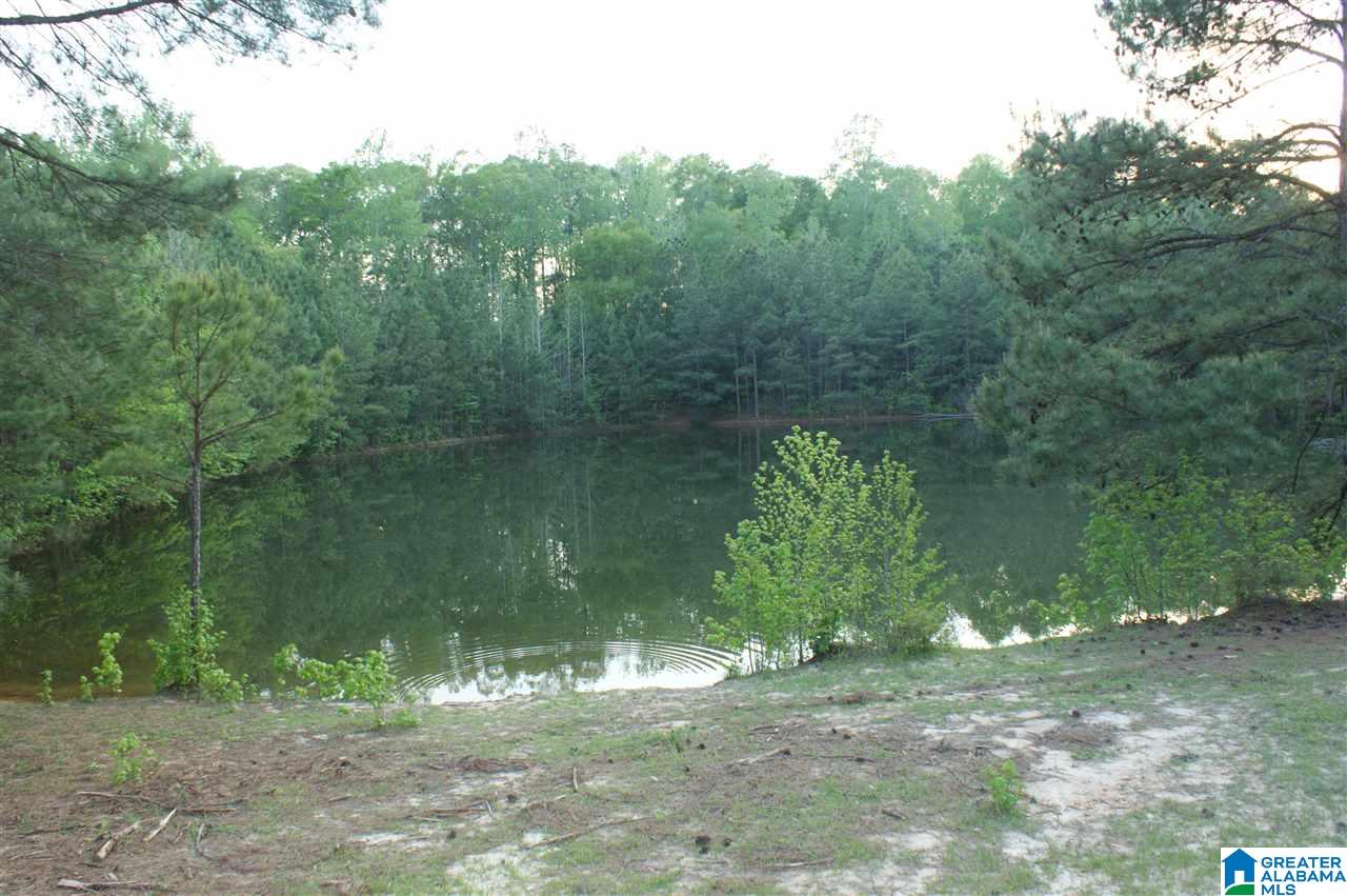 15 County Road, Unit 12791 Maplesville, AL 36750 - Photo 9 of 10