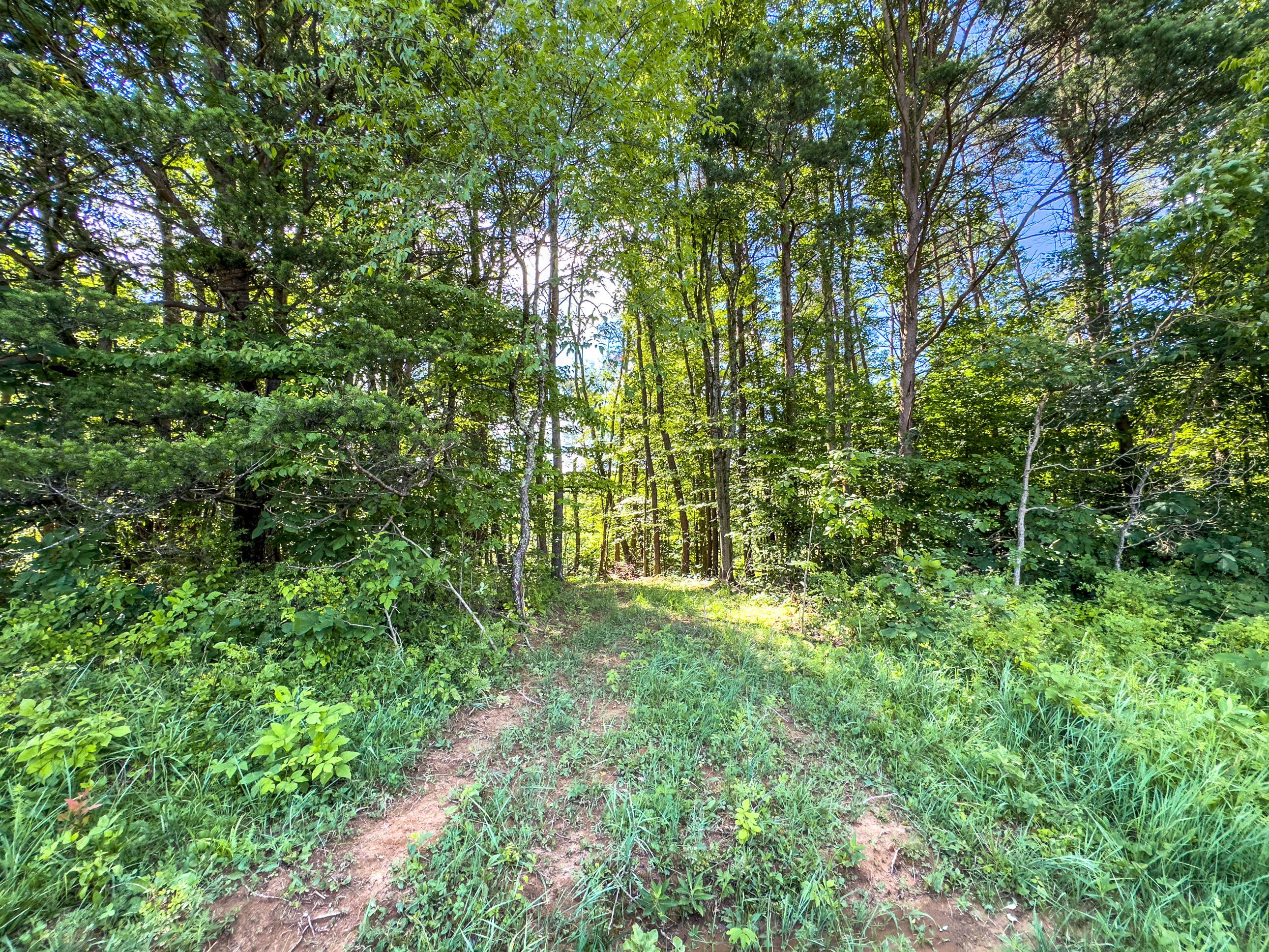 0 Cotterman Road Logan, OH 43138 - Photo 20 of 35 Cotterman Rd; 39 ac-2161