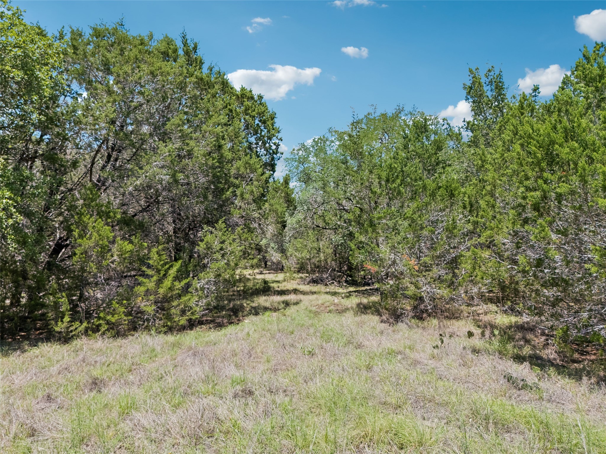 Tbd South Rainbow Ranch Road Wimberley, TX 78676 - Photo 12 of 17