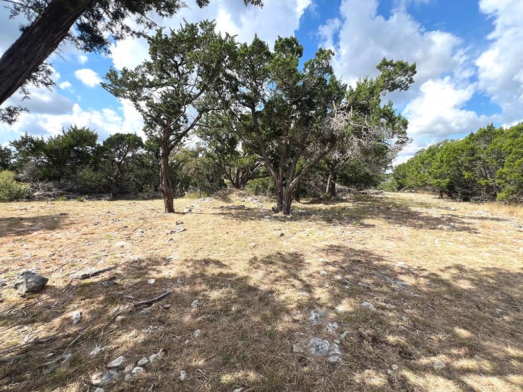 140 Teague Road Kerrville, TX 78028 - Photo 37 of 44