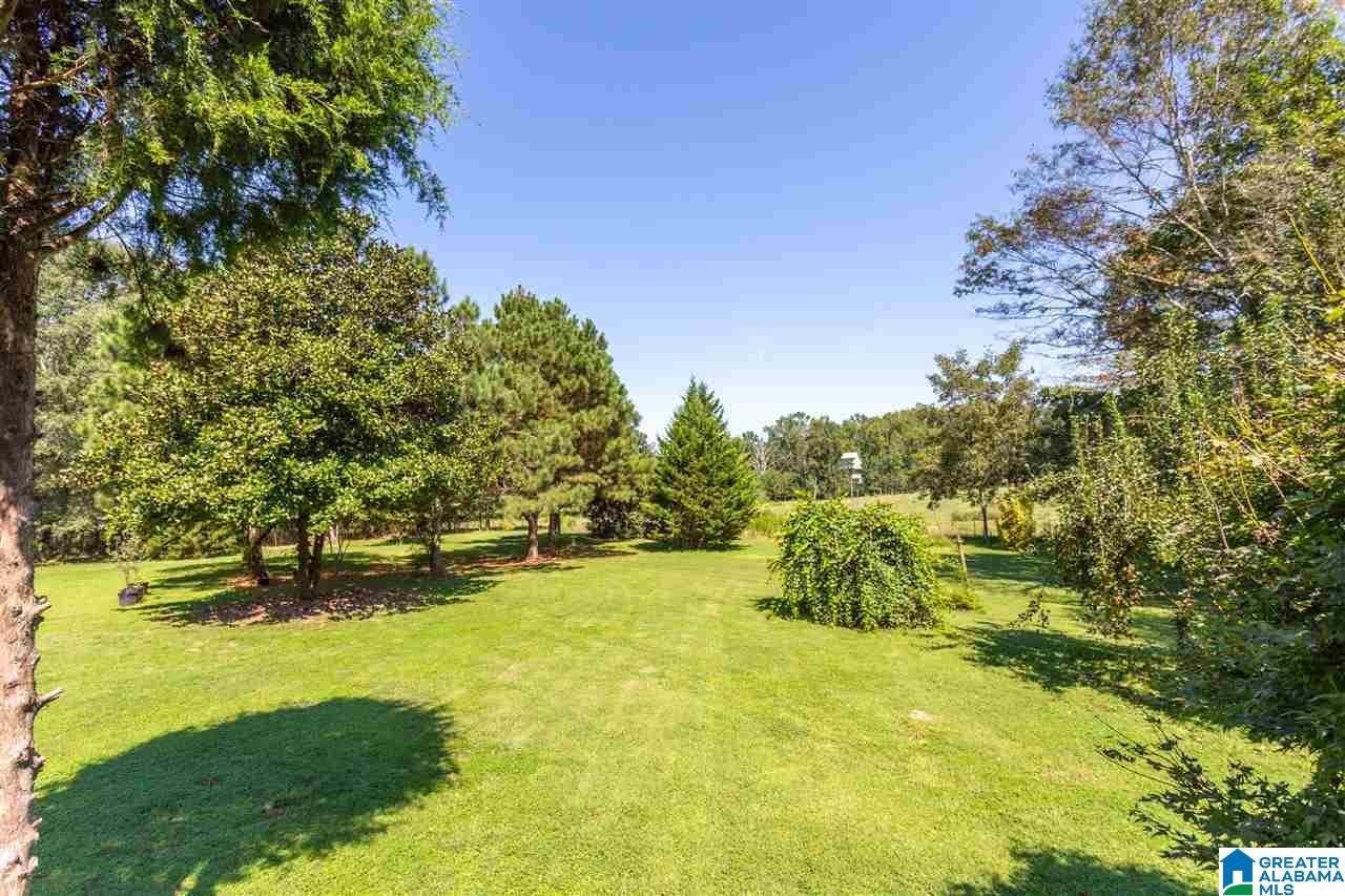 3381 Sardis Road Boaz, AL 35956 - Photo 38 of 47