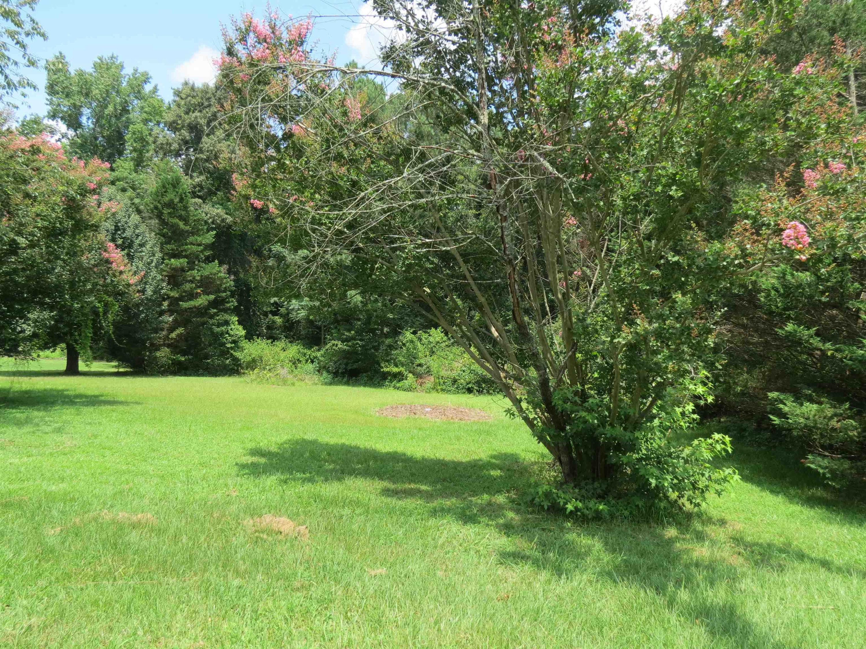 5405 Holland Farms Way Raleigh, NC 27603 - Photo 3 of 15 Photo 3