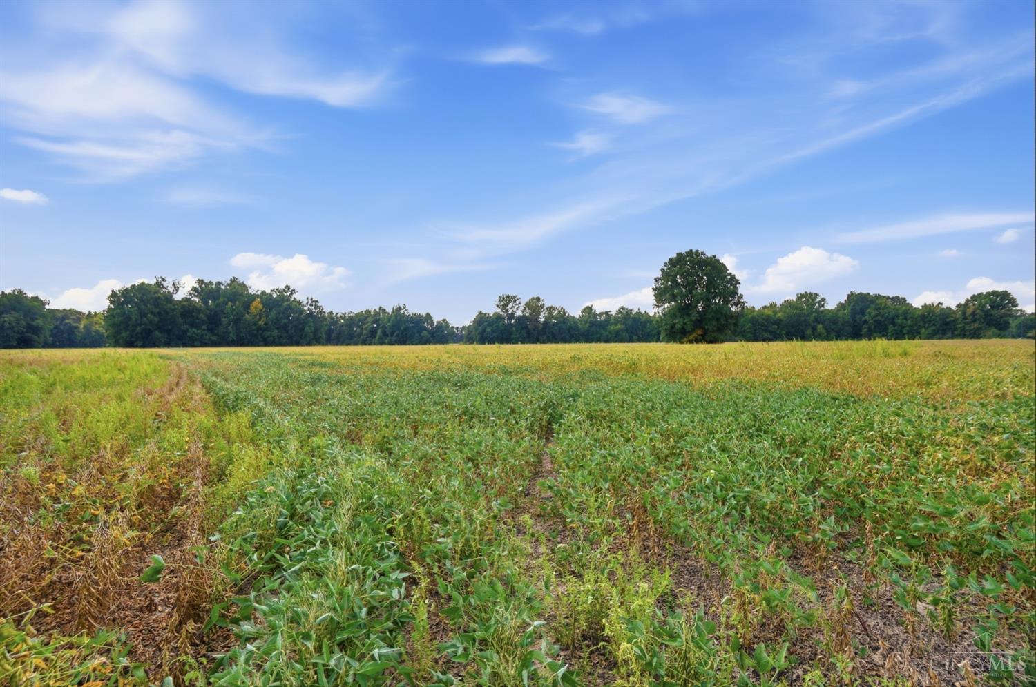 0 Sodom Road Hamersville, OH 45130 - Photo 19 of 19 Gallery Image 19