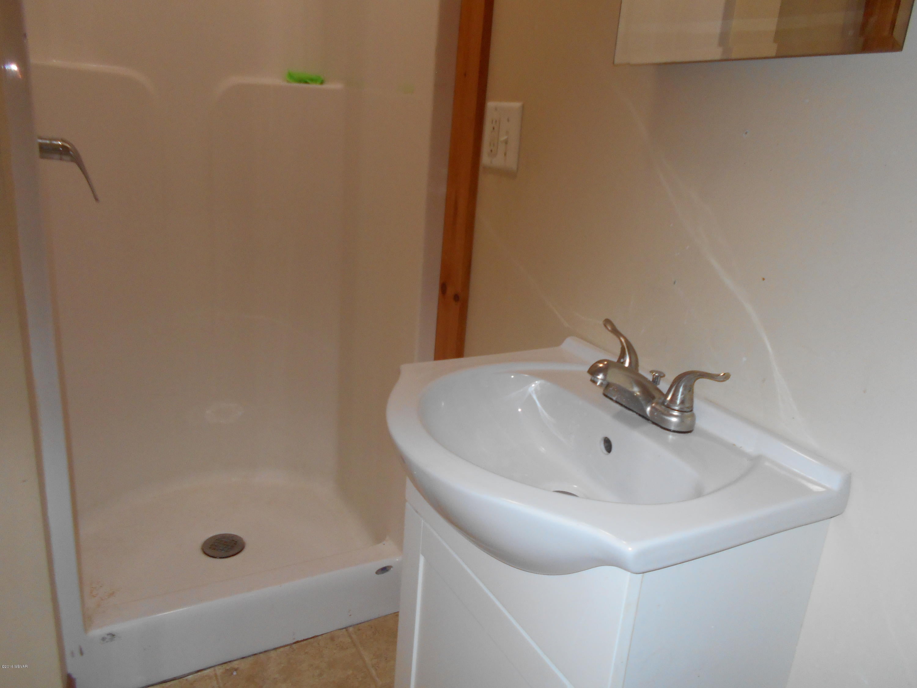 2183 Island Road Lock Haven, PA 17745 - Photo 16 of 27 Main floor bath shower