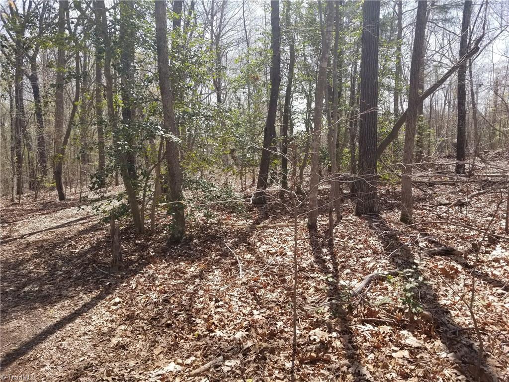 0 Frank Stoner Road Lexington, NC 27292 - Photo 5 of 9 Gallery Image 5