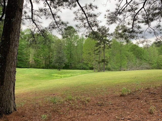 135 Allen Road Magee, MS 39111 - Photo 34 of 47 Photo 35