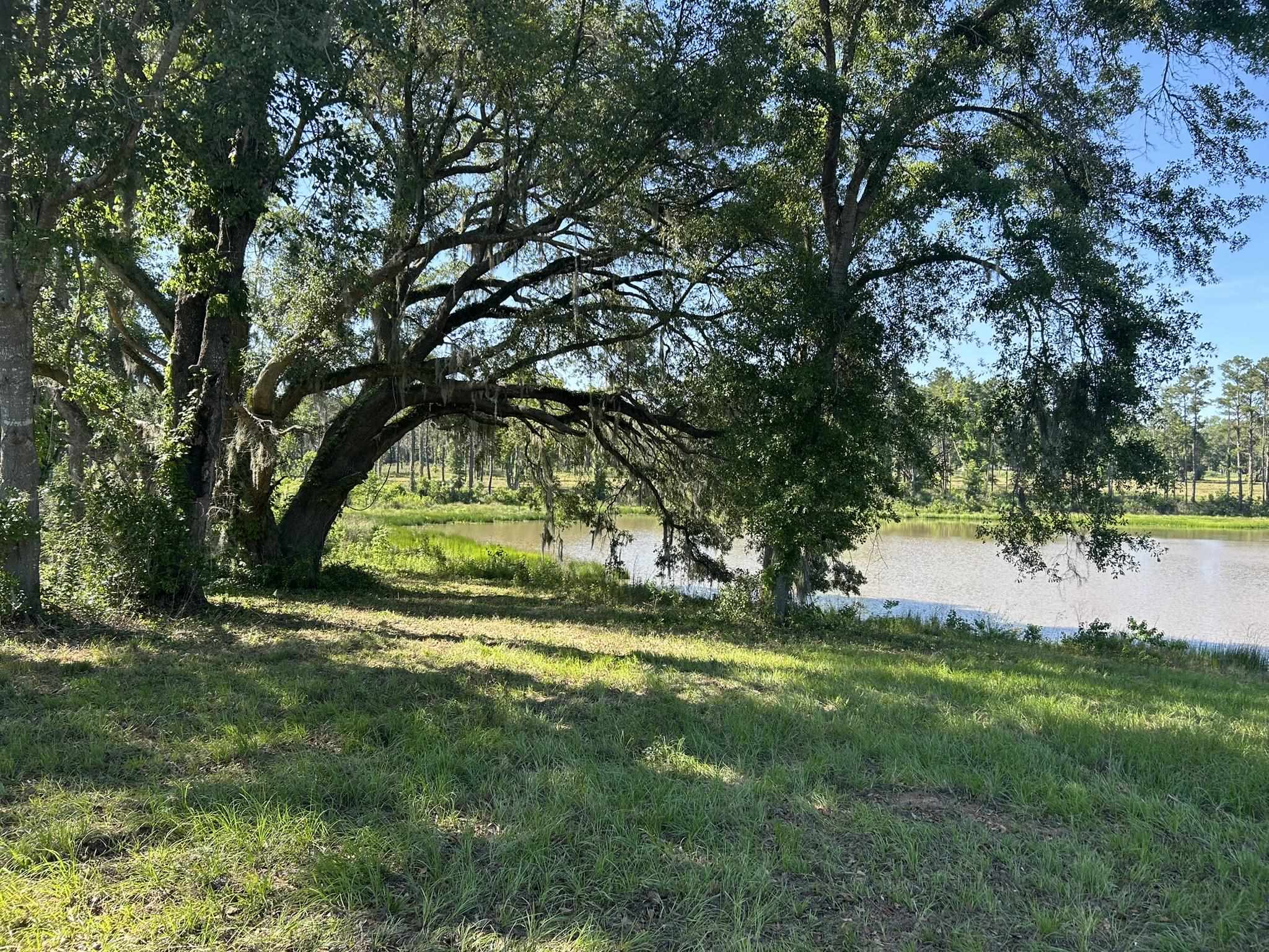 Xxx Ben Bostick Road Quincy, FL 32351 - Photo 3 of 20
