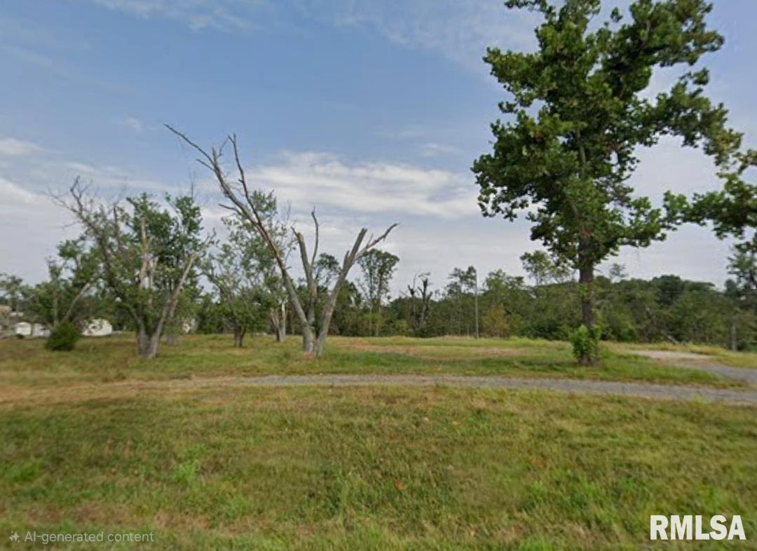 4218 Moake School Road Marion, IL 62959 - Photo 1 of 1 Gallery Image 1