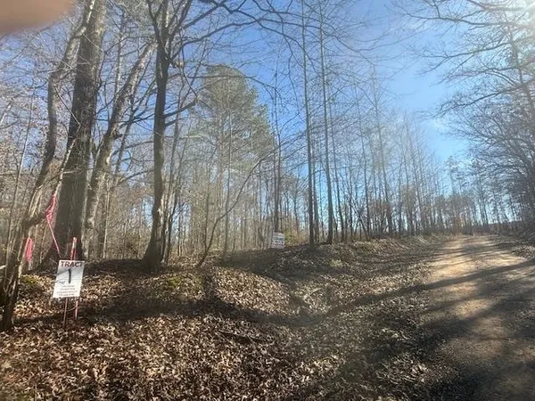 a view of a yard with trees