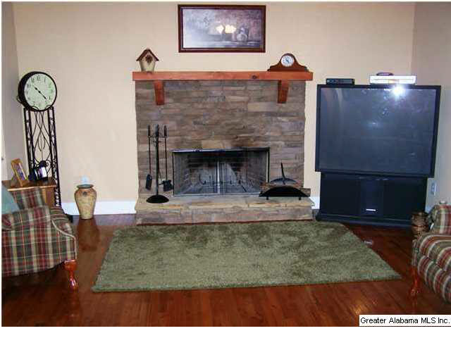 236 County Road 910 Delta, AL 36258 - Photo 14 of 27