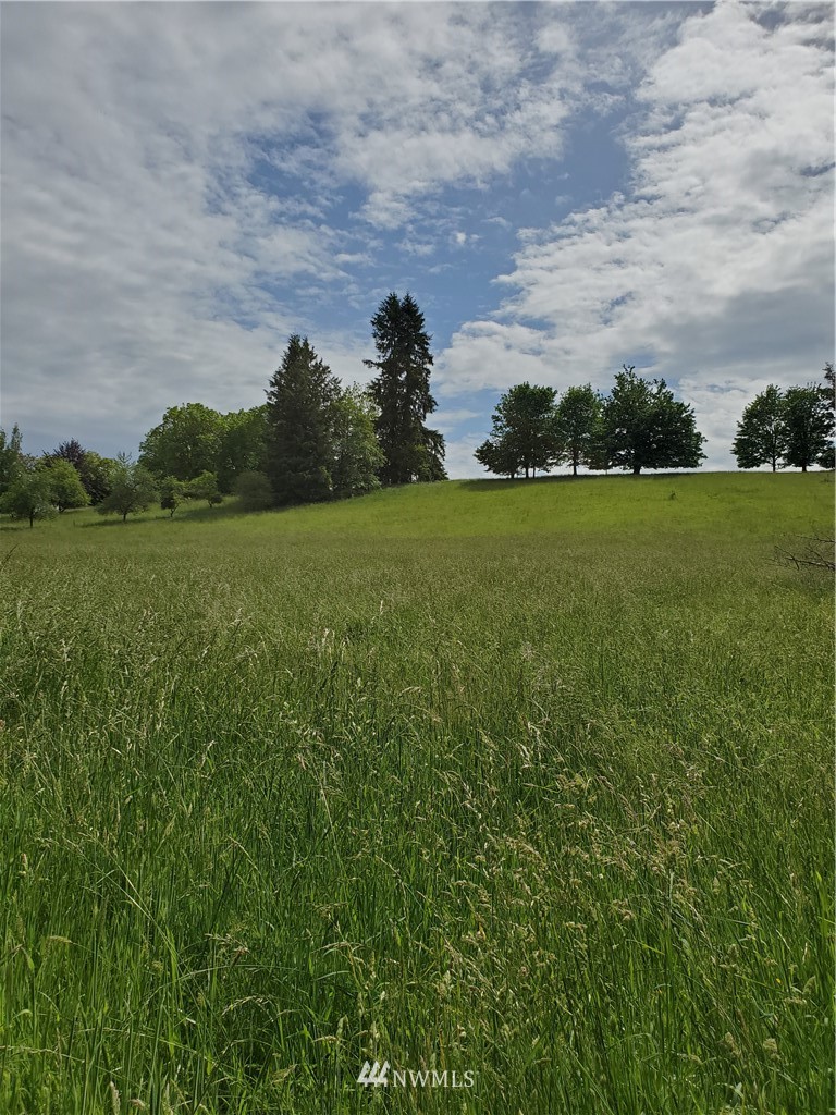 698 Young Road Mossyrock, WA 98564 - Photo 1 of 10 Gallery Image 1