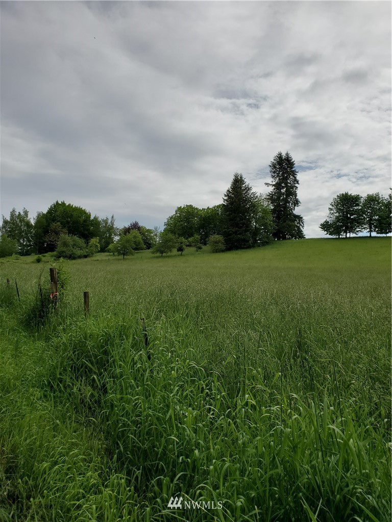698 Young Road Mossyrock, WA 98564 - Photo 2 of 10 Gallery Image 2