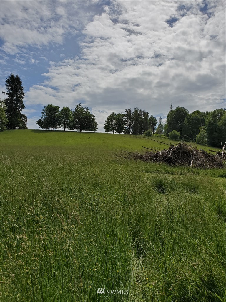 698 Young Road Mossyrock, WA 98564 - Photo 4 of 10 Gallery Image 4