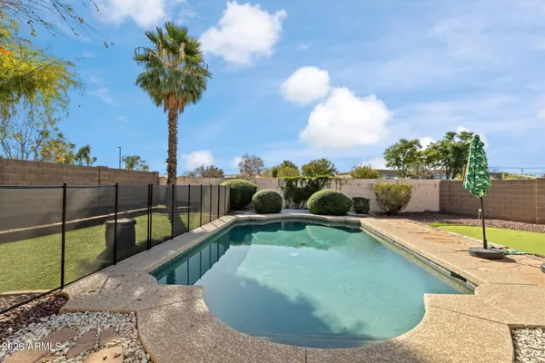 a view of a swimming pool with a potted plants