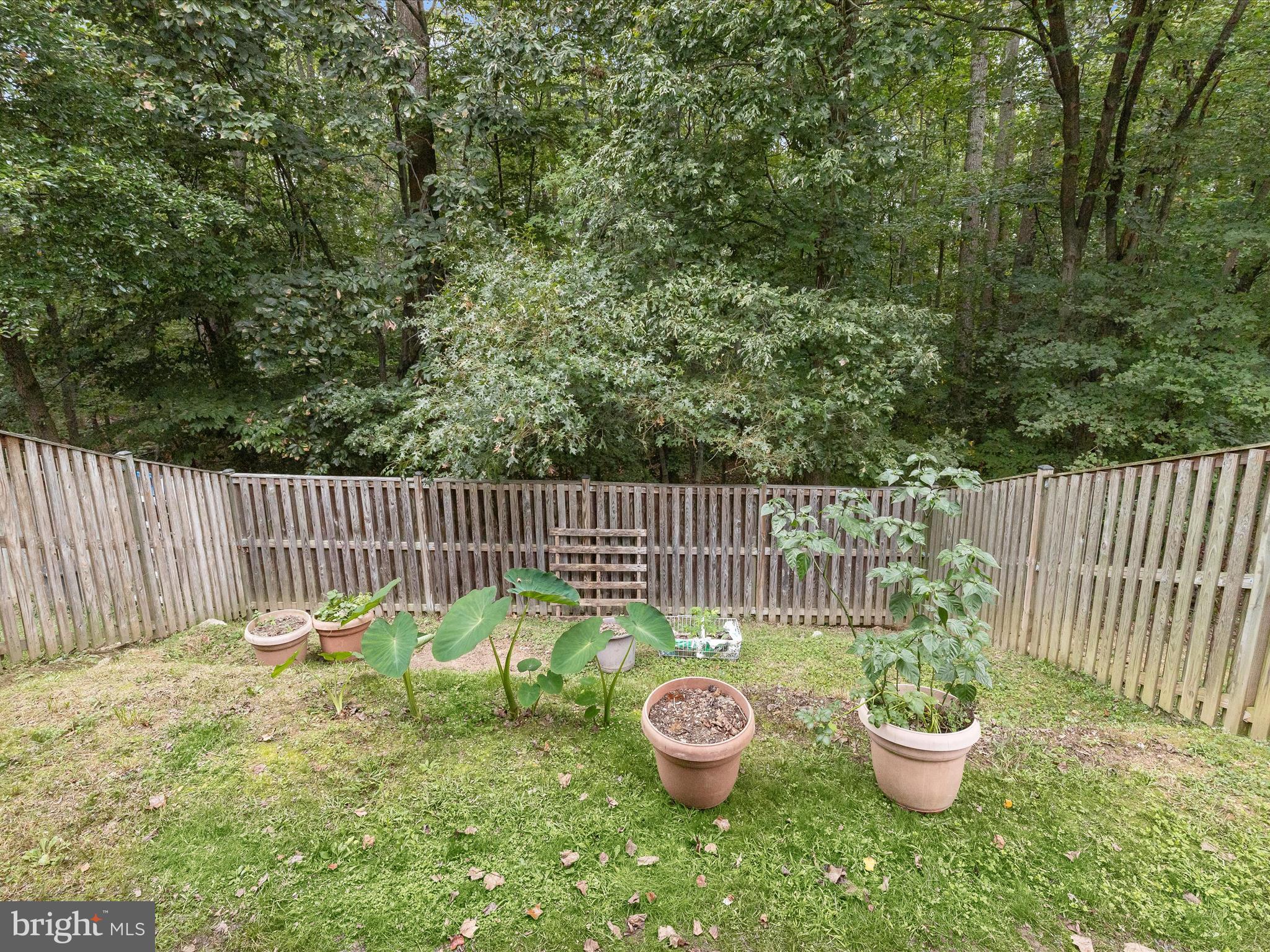 2614 Streamview Drive Odenton, MD 21113 - Photo 34 of 52 a backyard of a house with barbeque oven and plants