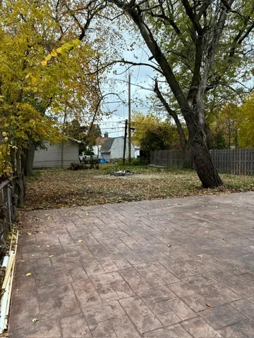 a view of a yard with plants and trees