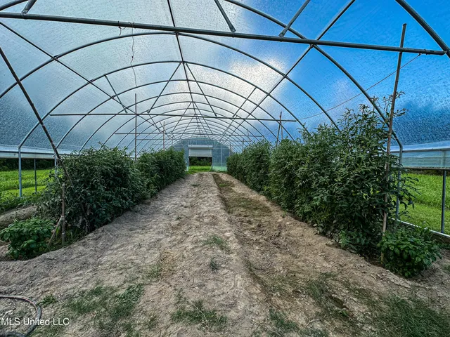 $425,000 | 85 Barrack Road, Yazoo City, MS 39194