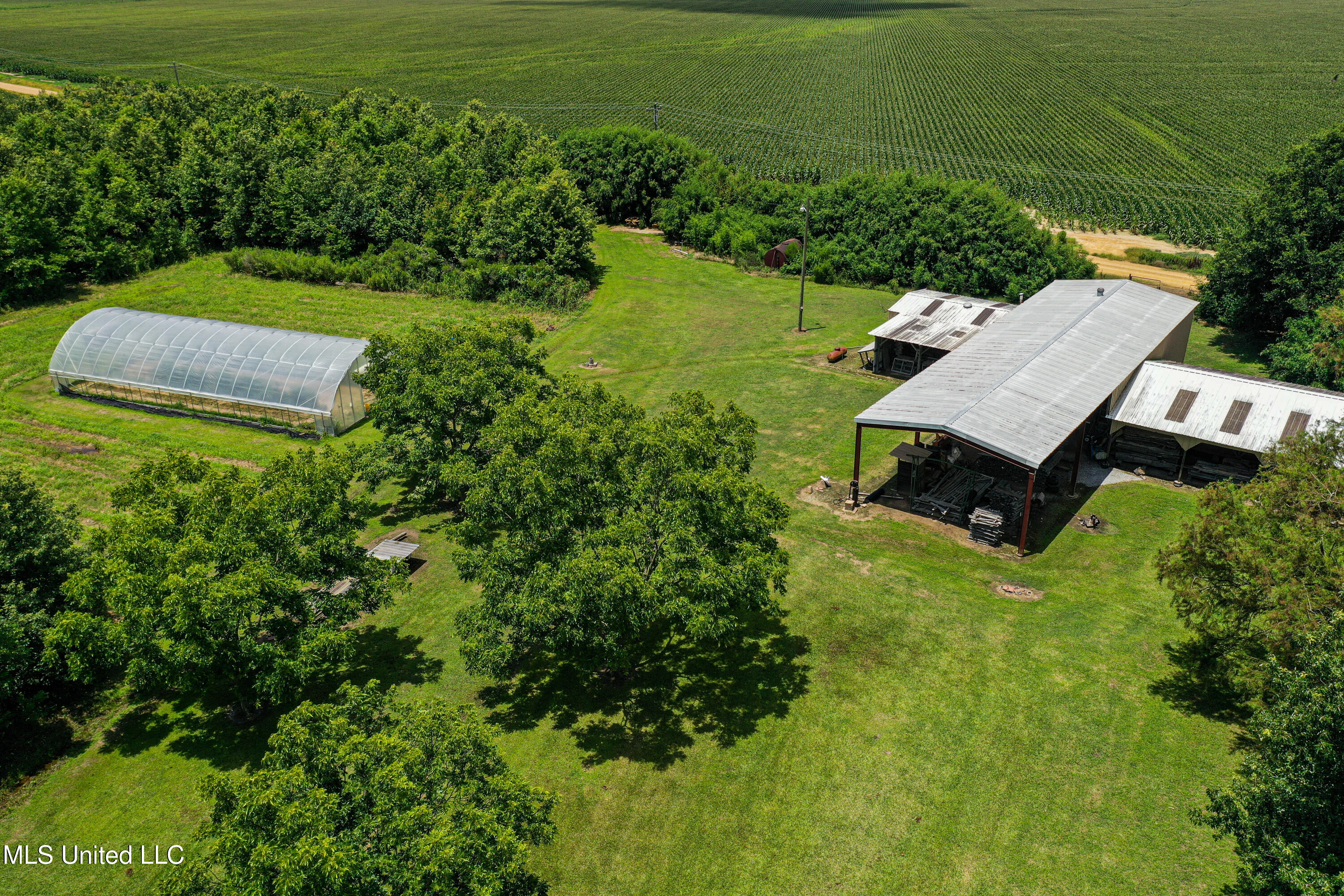85 Barrack Road Yazoo City, MS 39194 - Photo 12 of 101 DJI_0274