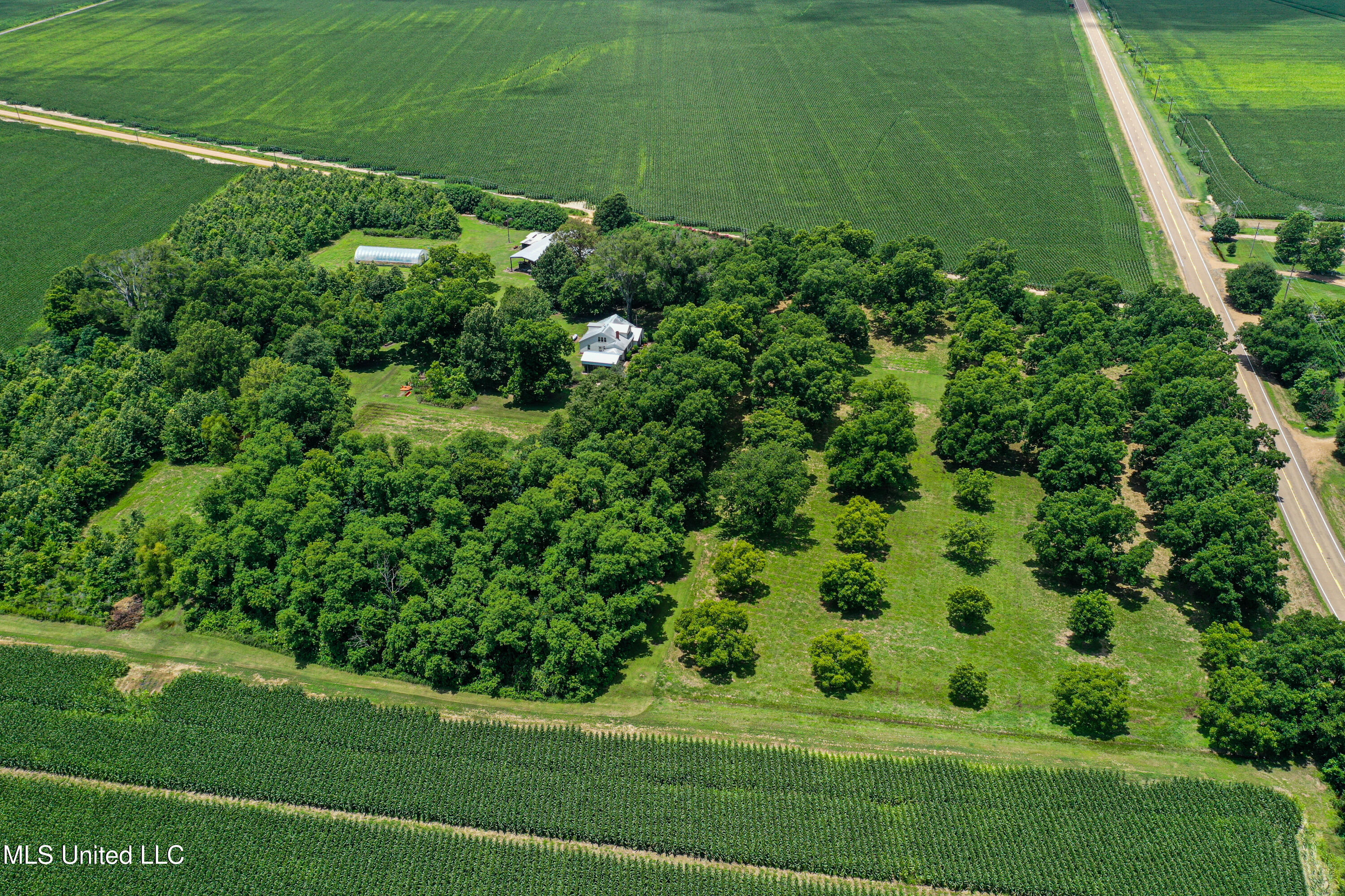 85 Barrack Road Yazoo City, MS 39194 - Photo 17 of 101 DJI_0287