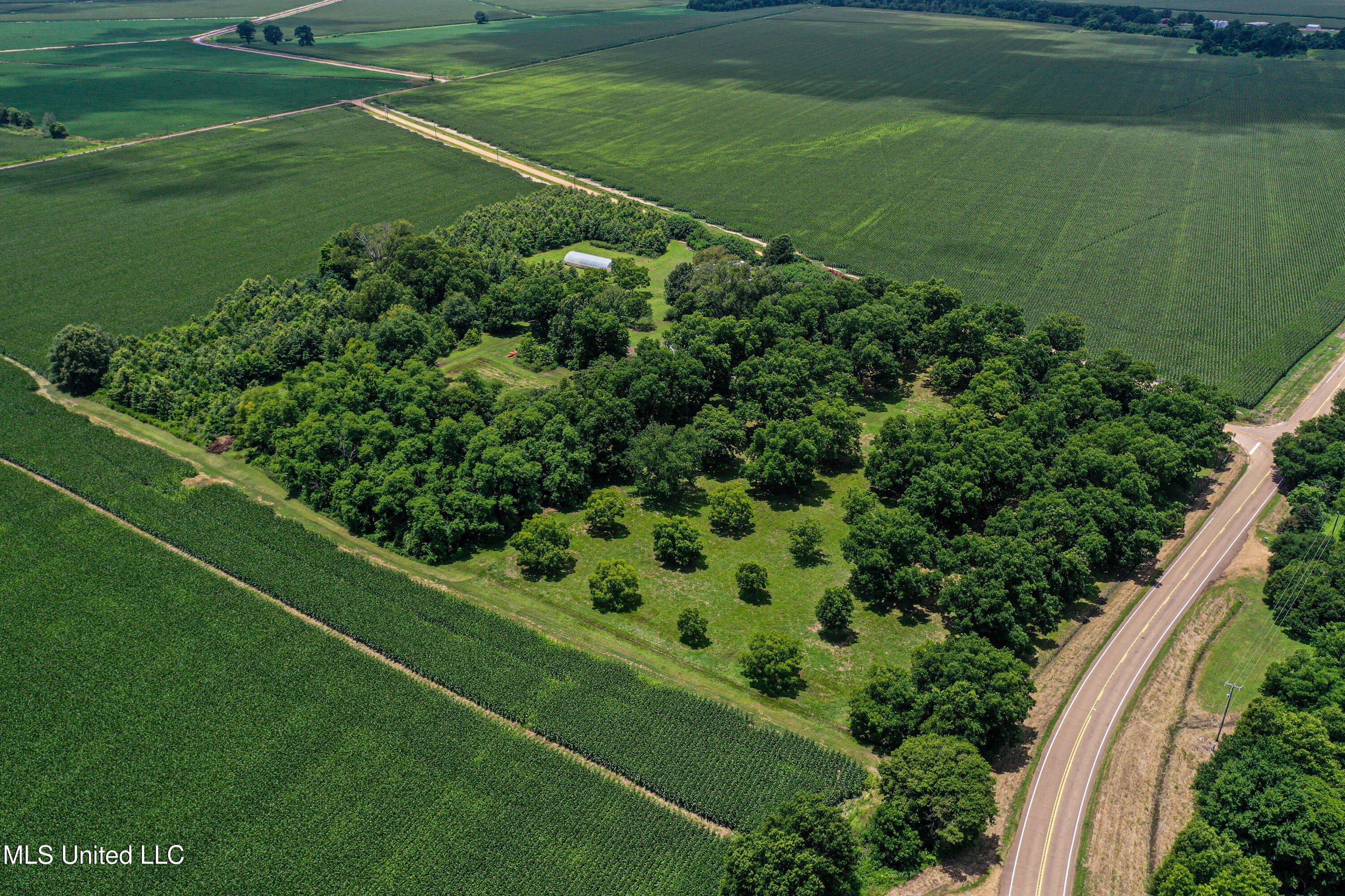 85 Barrack Road Yazoo City, MS 39194 - Photo 18 of 101 DJI_0288