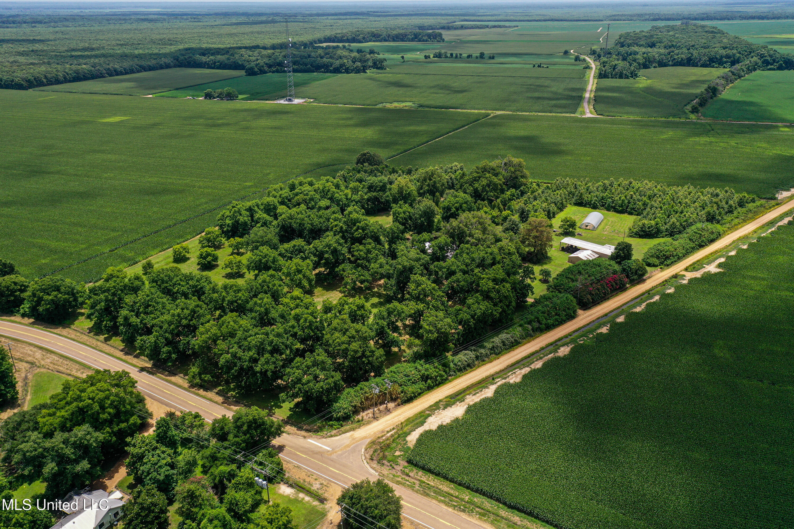 85 Barrack Road Yazoo City, MS 39194 - Photo 19 of 101 DJI_0289