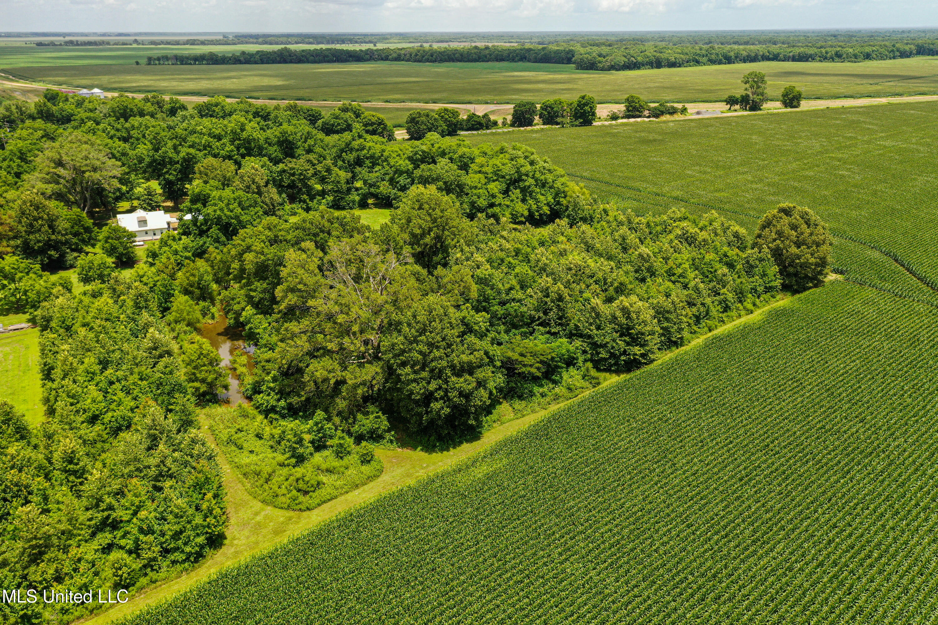85 Barrack Road Yazoo City, MS 39194 - Photo 20 of 101 DJI_0292