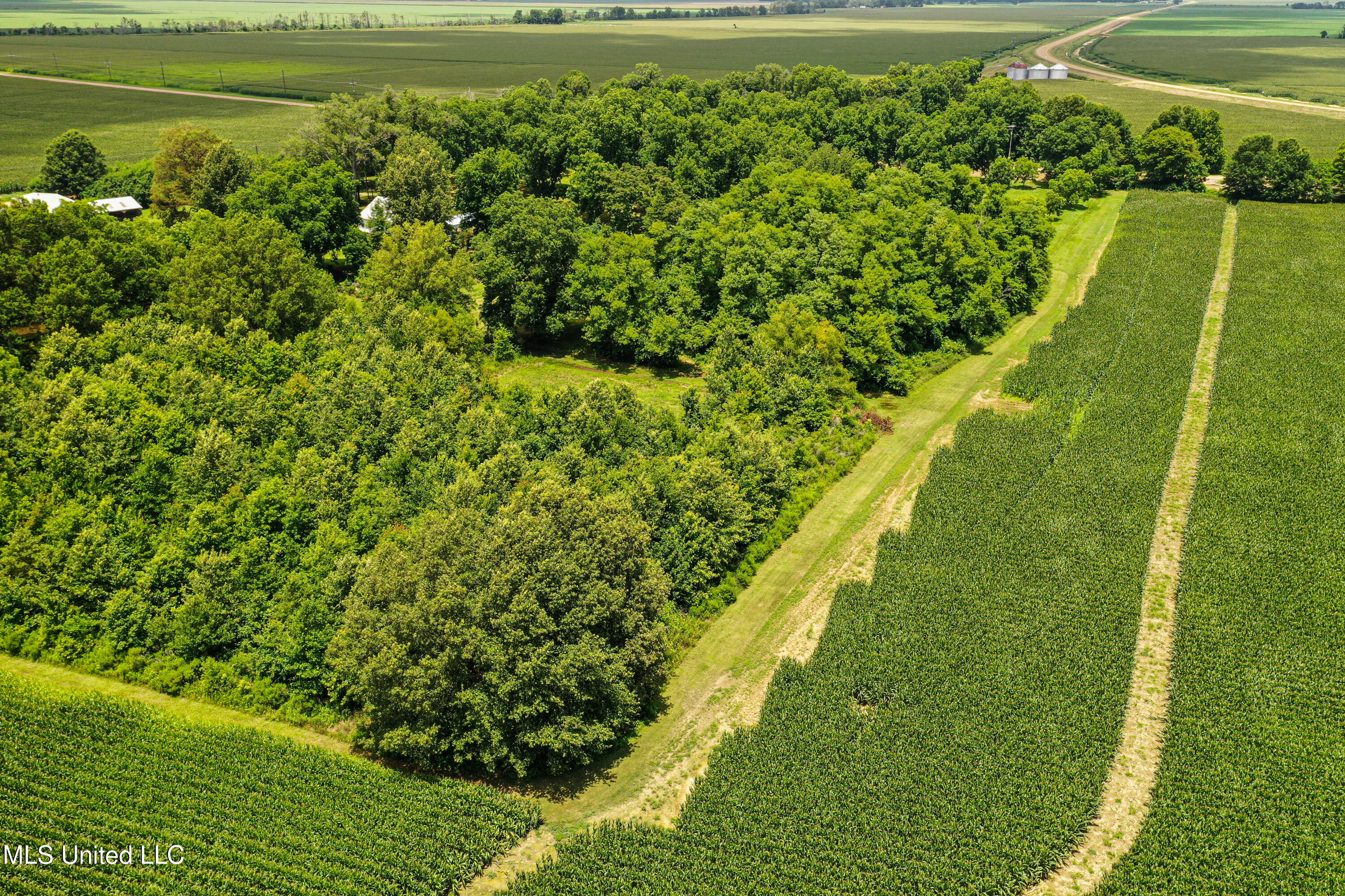 85 Barrack Road Yazoo City, MS 39194 - Photo 21 of 101 DJI_0293