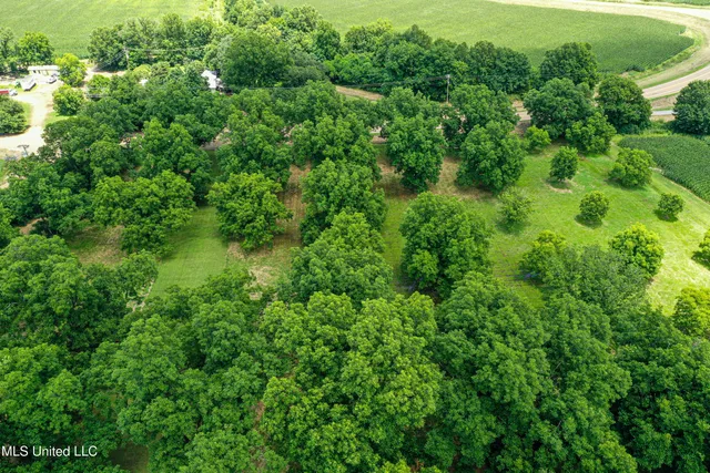 $425,000 | 85 Barrack Road, Yazoo City, MS 39194
