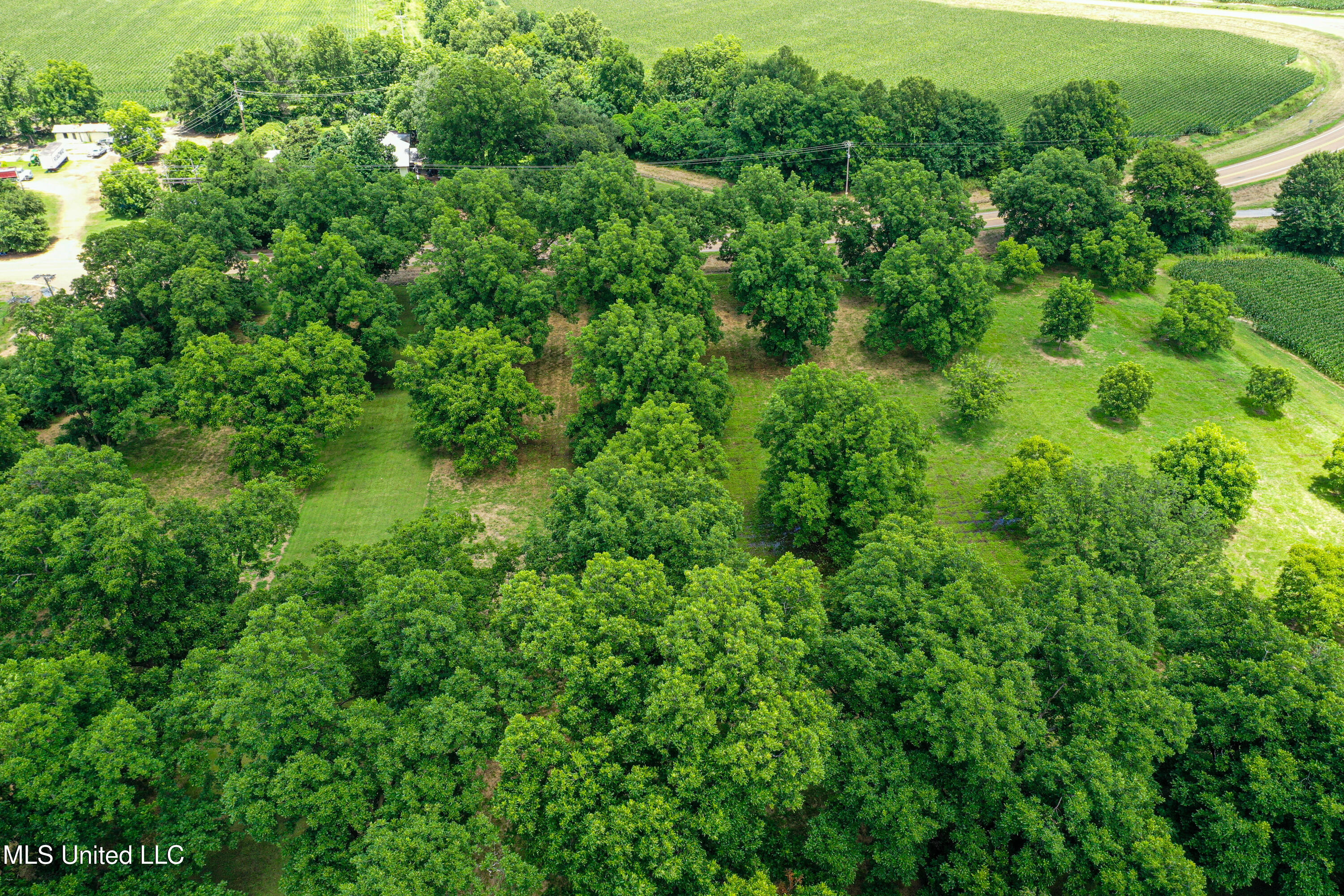 85 Barrack Road Yazoo City, MS 39194 - Photo 25 of 101 DJI_0305