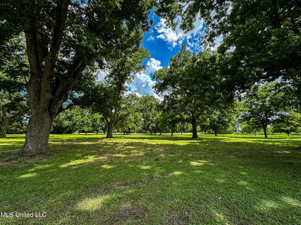 $425,000 | 85 Barrack Road, Yazoo City, MS 39194