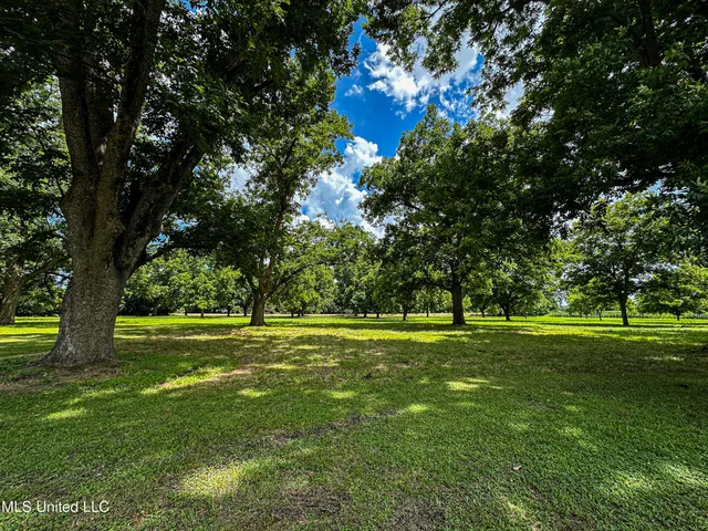 $425,000 | 85 Barrack Road, Yazoo City, MS 39194